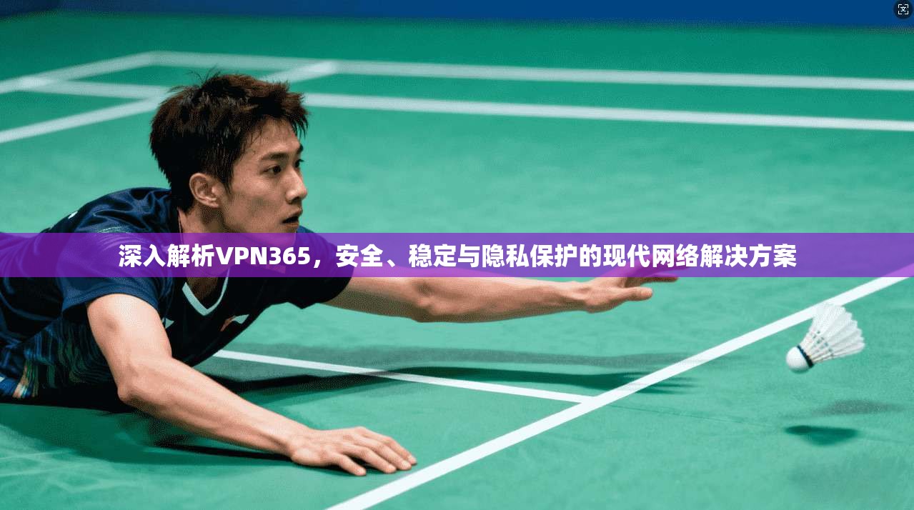 深入解析VPN365，安全、稳定与隐私保护的现代网络解决方案