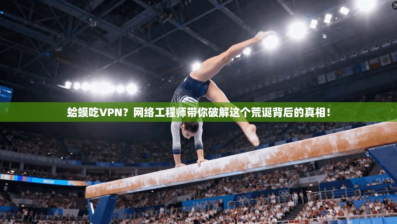 蛤蟆吃VPN？网络工程师带你破解这个荒诞背后的真相！