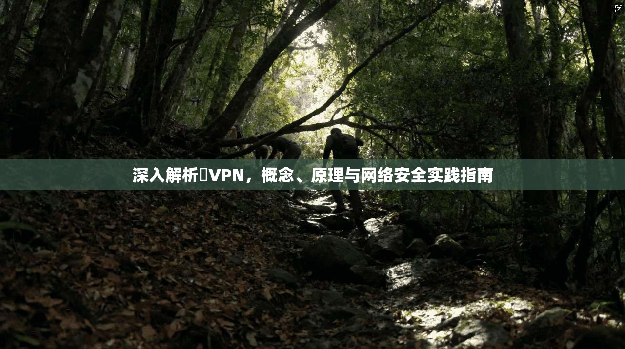 深入解析繋VPN，概念、原理与网络安全实践指南