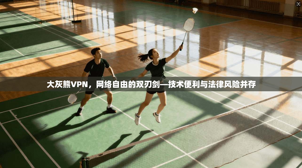 大灰熊VPN，网络自由的双刃剑—技术便利与法律风险并存