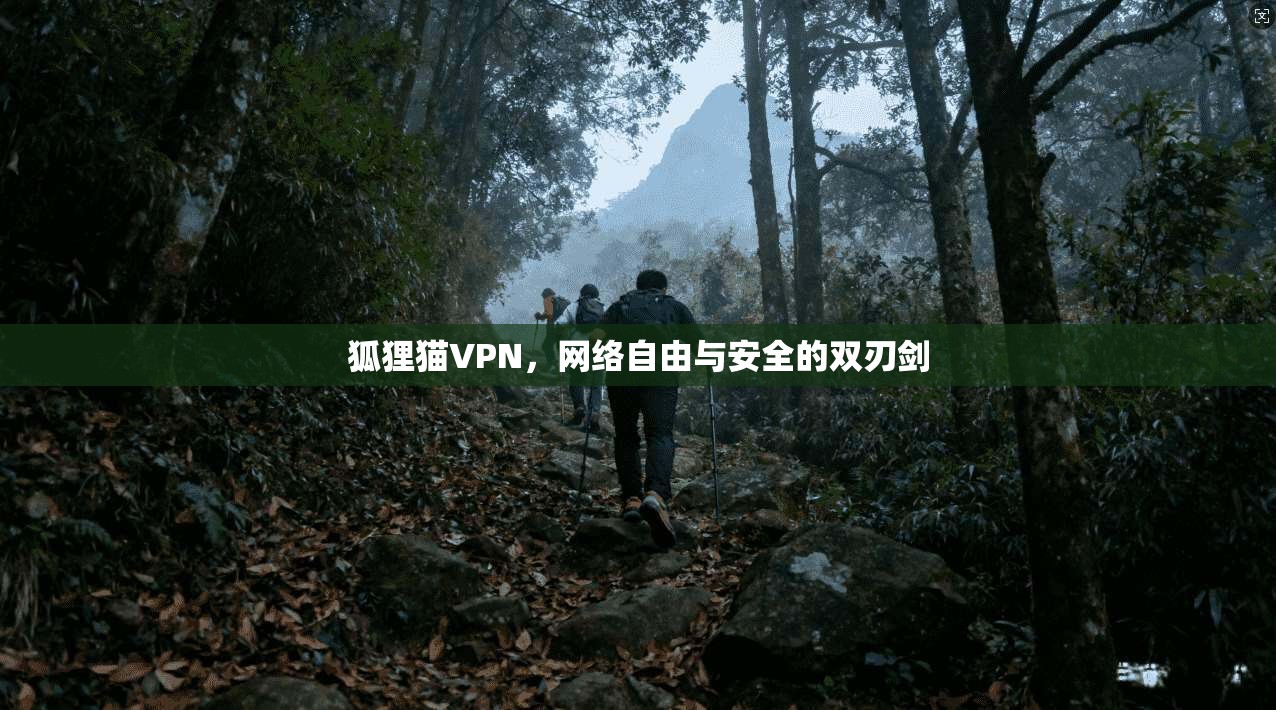 狐狸猫VPN,网络自由与安全的双刃剑