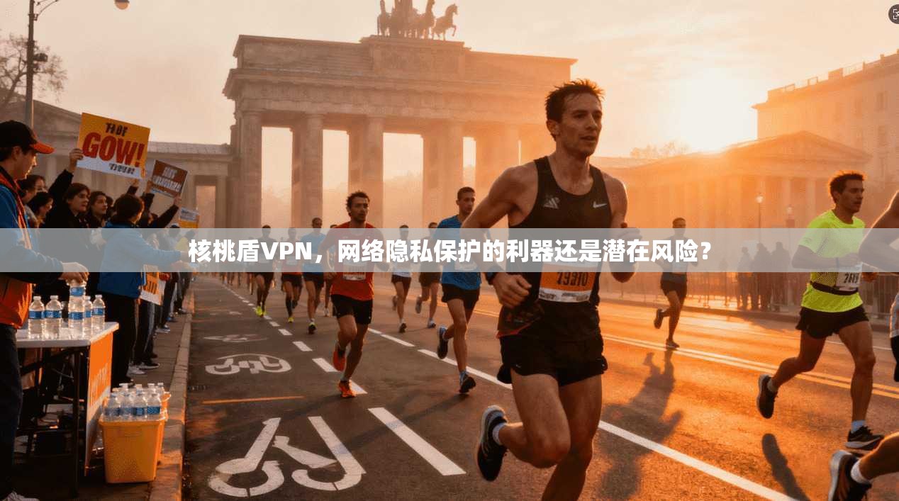 核桃盾VPN,网络隐私保护的利器还是潜在风险?