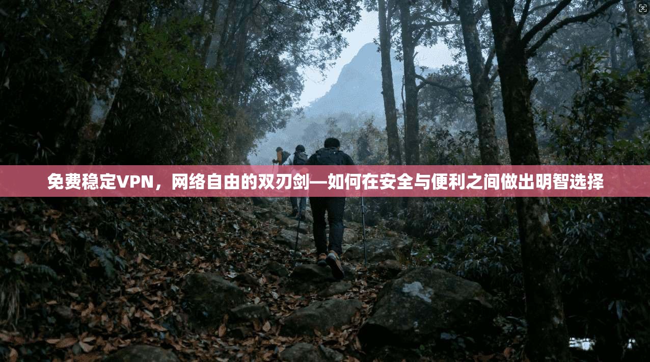 免费稳定VPN，网络自由的双刃剑—如何在安全与便利之间做出明智选择