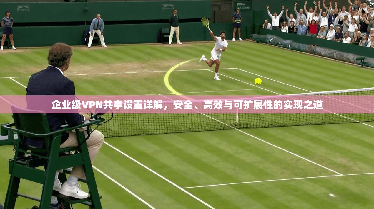 企业级VPN共享设置详解，安全、高效与可扩展性的实现之道