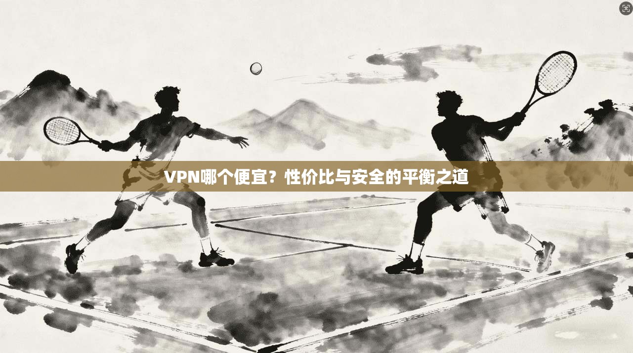 VPN哪个便宜?性价比与安全的平衡之道