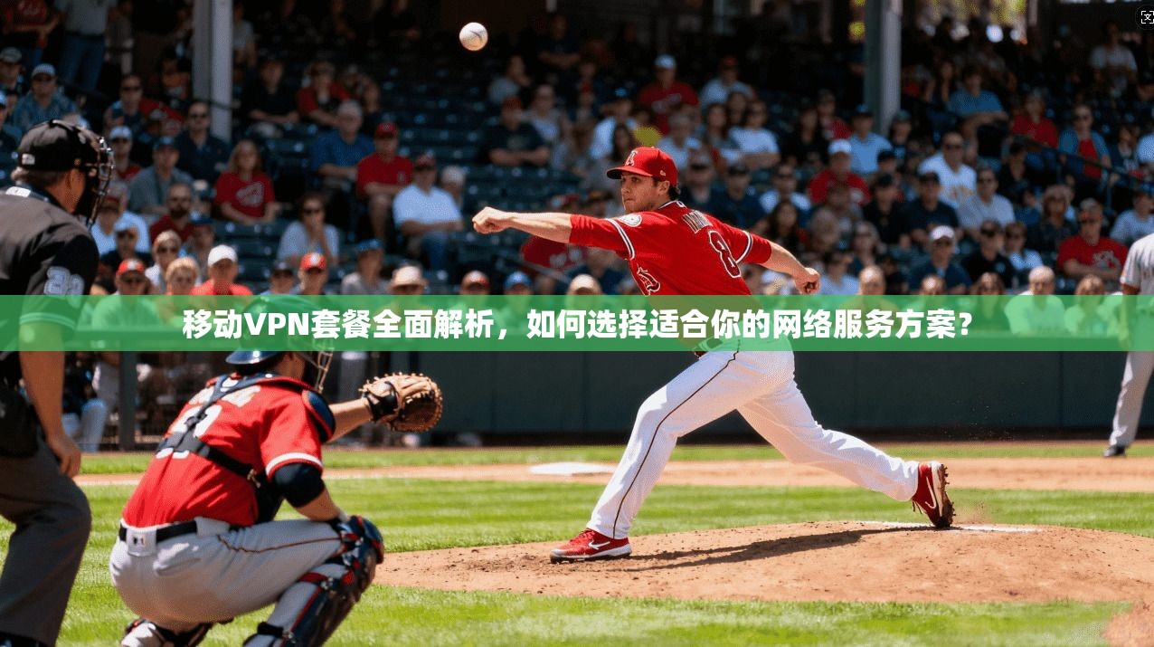 移动VPN套餐全面解析，如何选择适合你的网络服务方案？