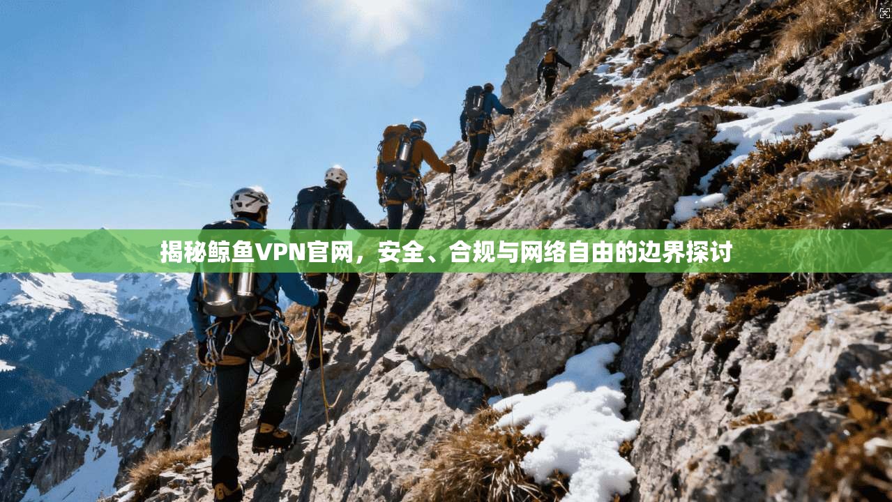 揭秘鲸鱼VPN官网，安全、合规与网络自由的边界探讨