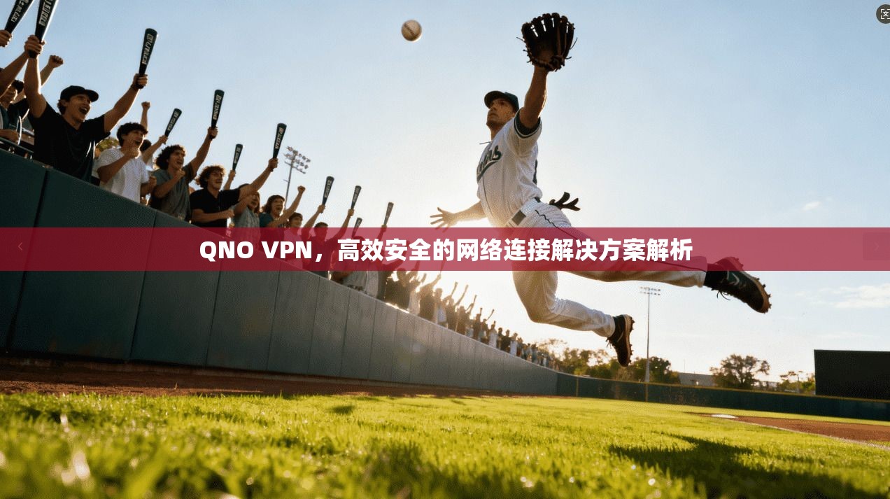 QNO VPN,高效安全的网络连接解决方案解析