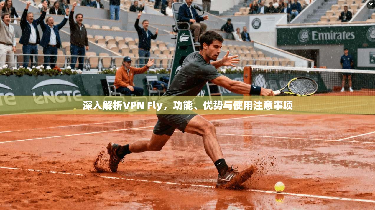 深入解析VPN Fly，功能、优势与使用注意事项