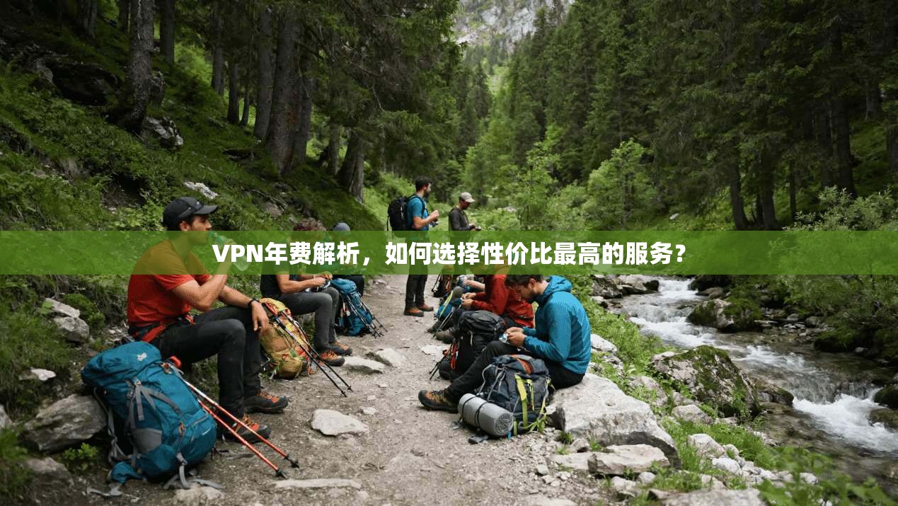 VPN年费解析，如何选择性价比最高的服务？