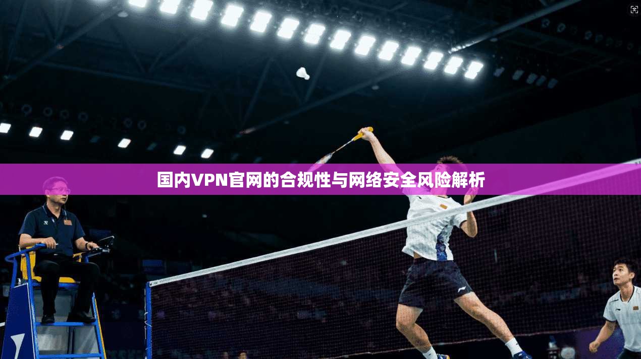国内VPN官网的合规性与网络安全风险解析