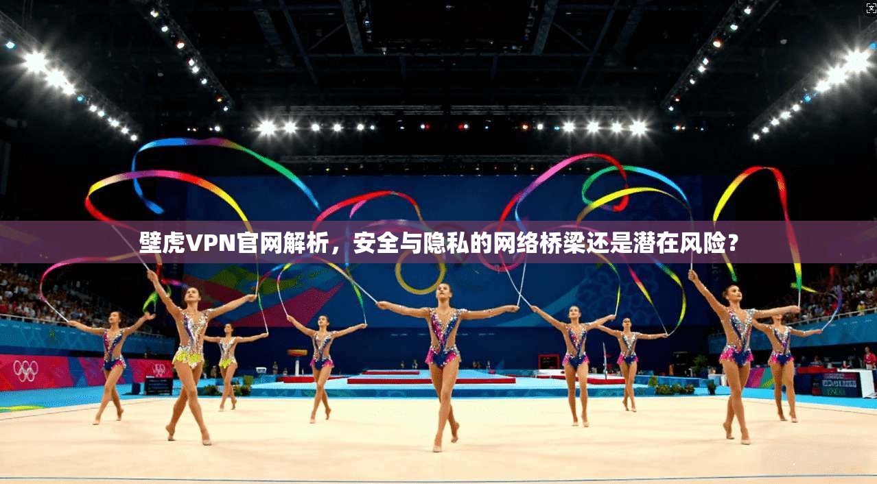 壁虎VPN官网解析，安全与隐私的网络桥梁还是潜在风险？