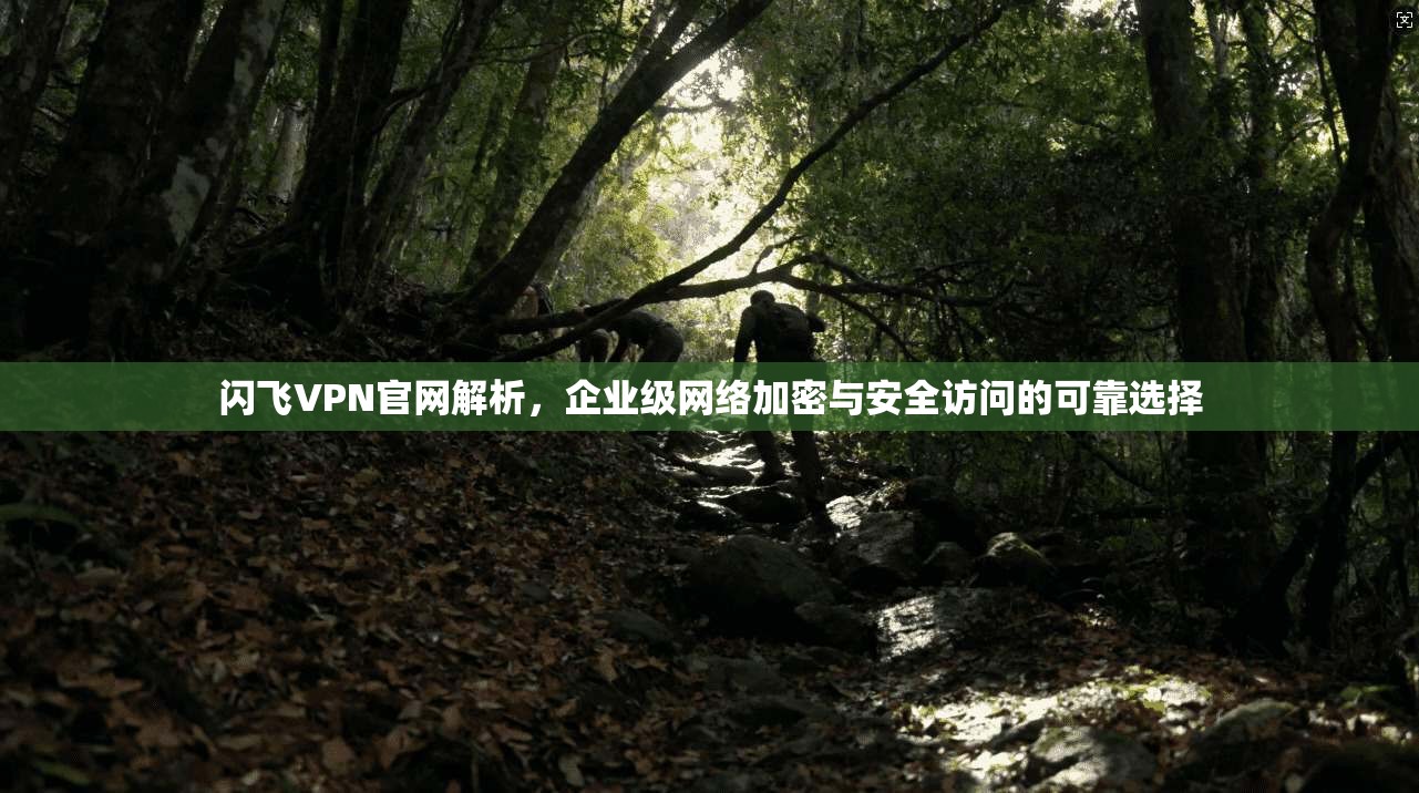 闪飞VPN官网解析，企业级网络加密与安全访问的可靠选择