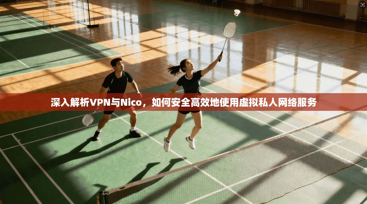 深入解析VPN与Nico，如何安全高效地使用虚拟私人网络服务