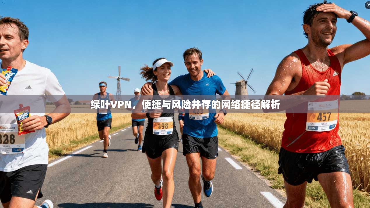 绿叶VPN，便捷与风险并存的网络捷径解析