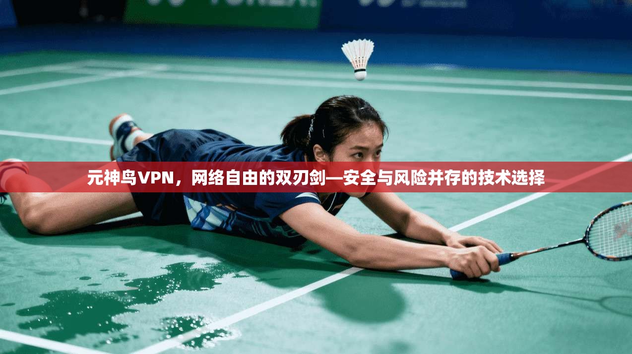 元神鸟VPN，网络自由的双刃剑—安全与风险并存的技术选择