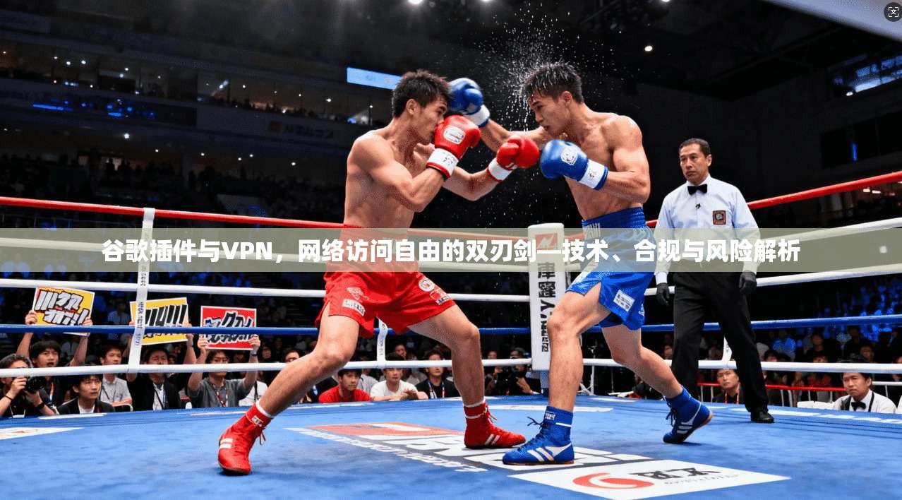 谷歌插件与VPN，网络访问自由的双刃剑—技术、合规与风险解析