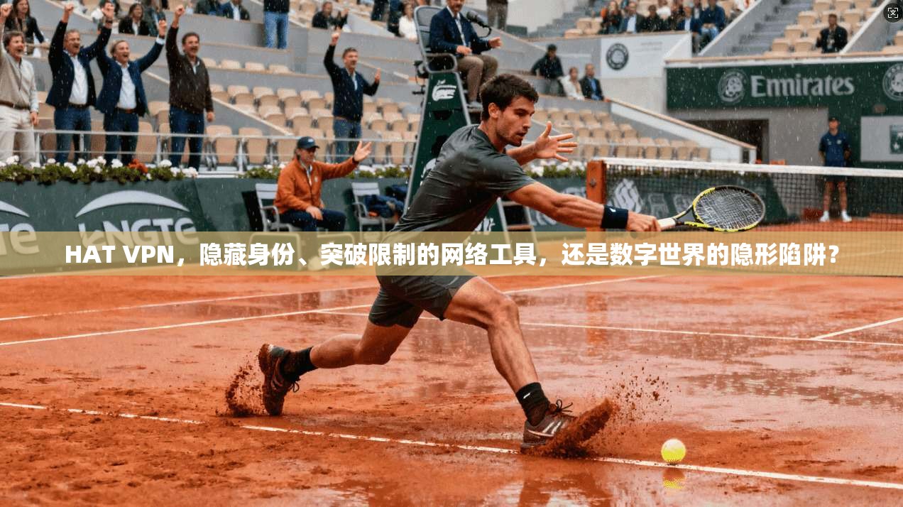 HAT VPN，隐藏身份、突破限制的网络工具，还是数字世界的隐形陷阱？