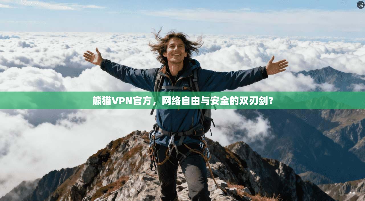 熊猫VPN官方，网络自由与安全的双刃剑？