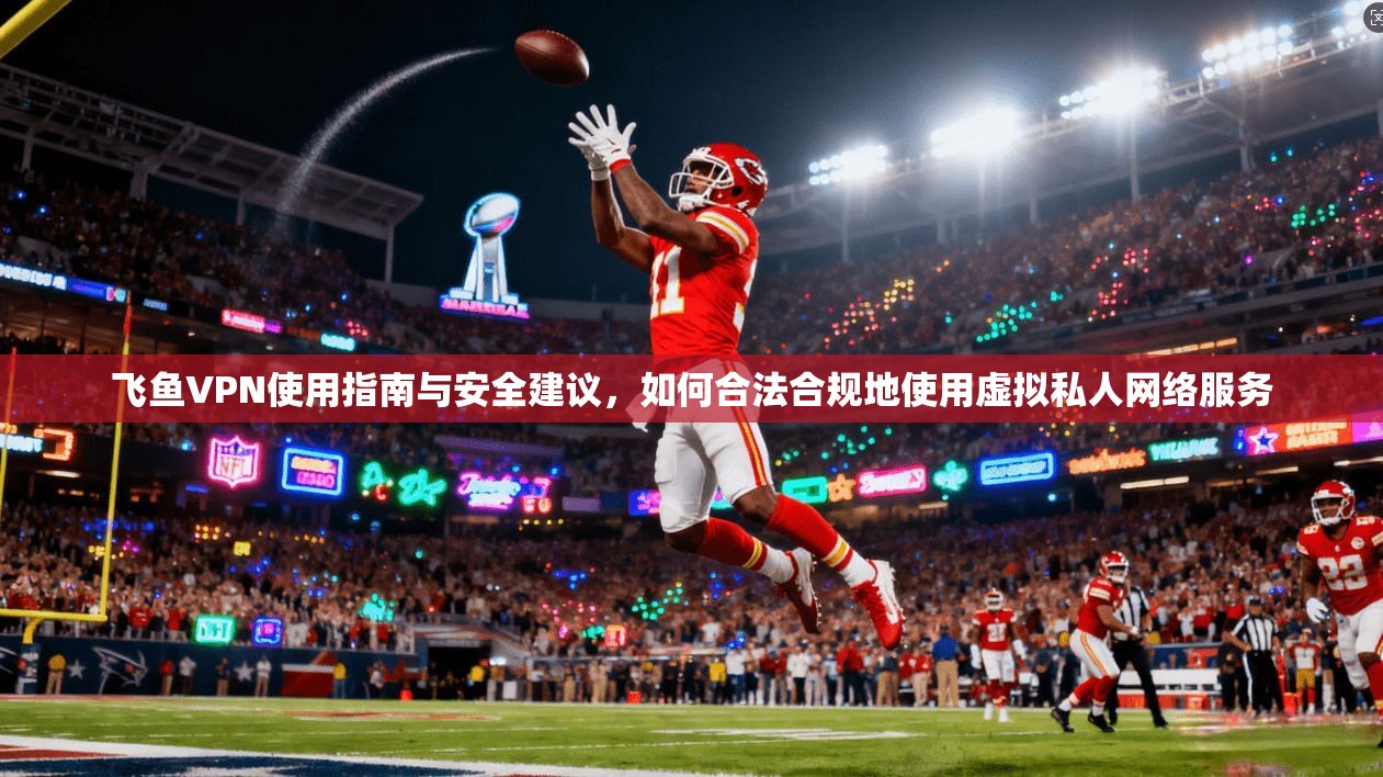 飞鱼VPN使用指南与安全建议，如何合法合规地使用虚拟私人网络服务
