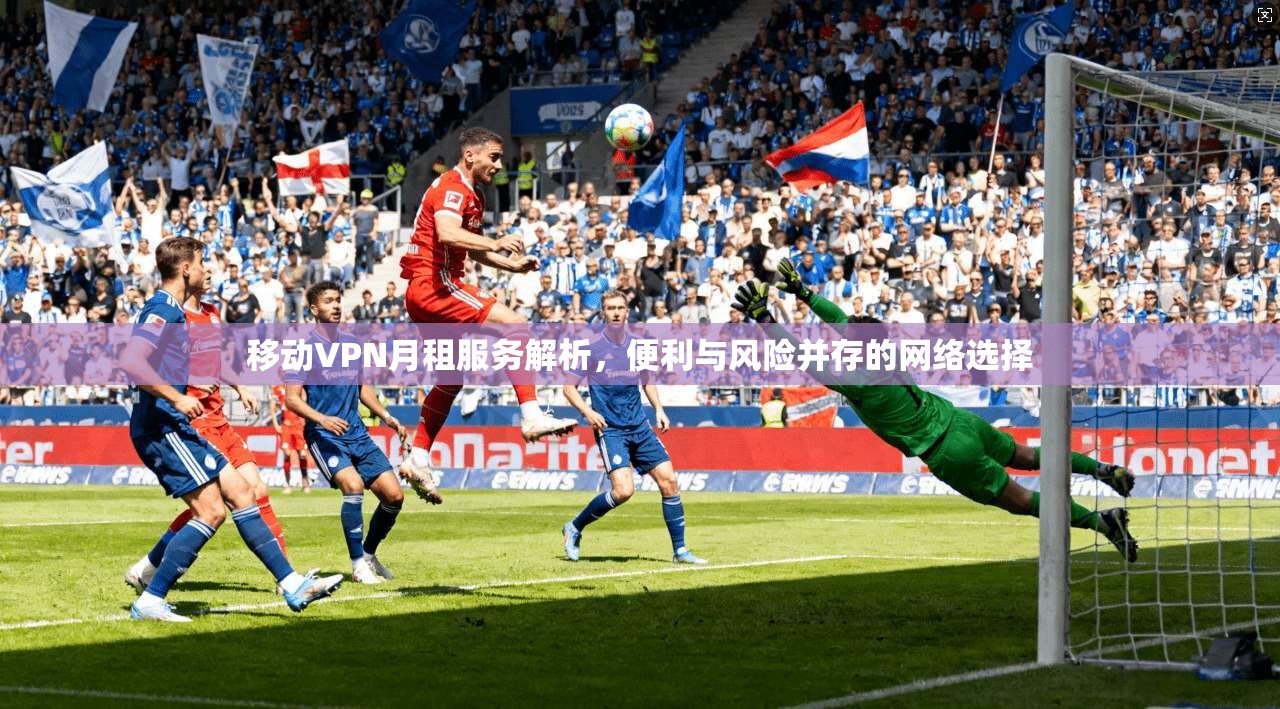 移动VPN月租服务解析，便利与风险并存的网络选择