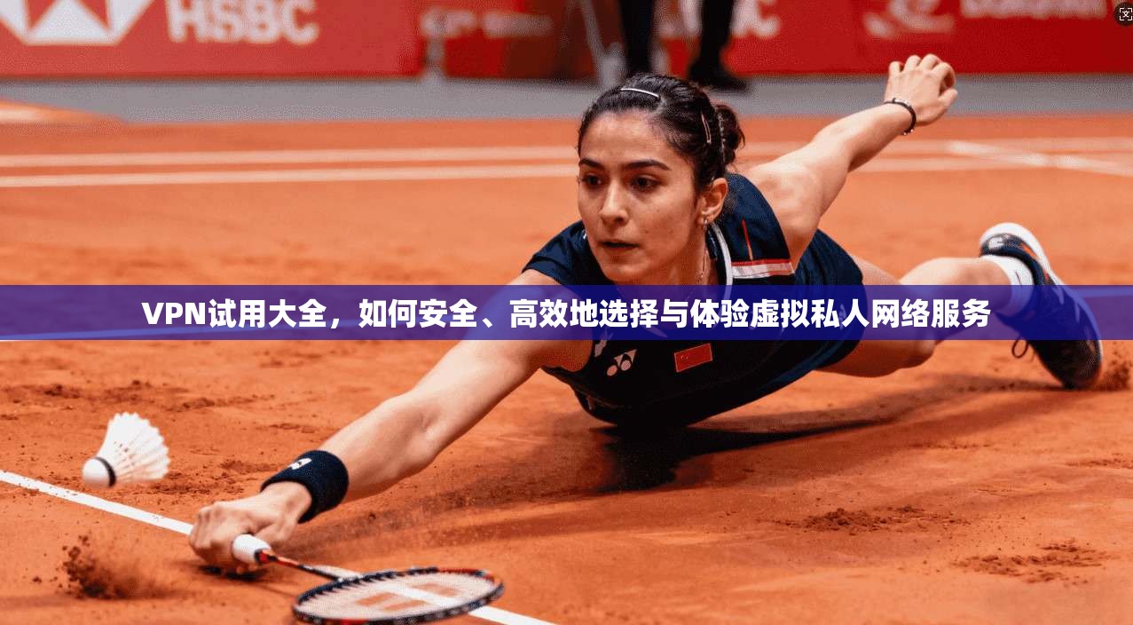 VPN试用大全，如何安全、高效地选择与体验虚拟私人网络服务