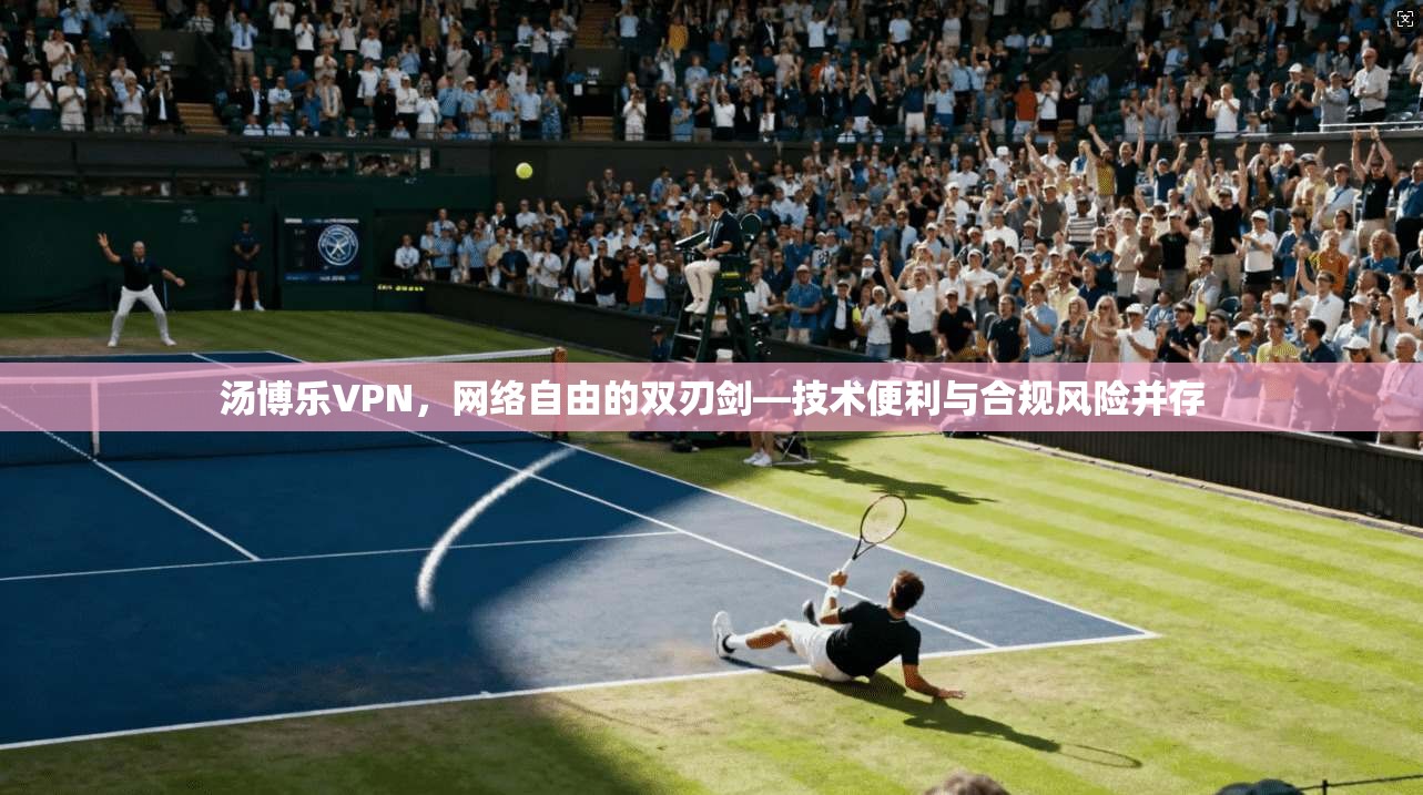 汤博乐VPN，网络自由的双刃剑—技术便利与合规风险并存