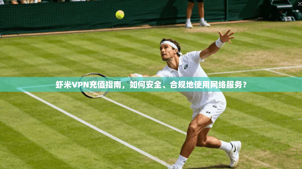 虾米VPN充值指南，如何安全、合规地使用网络服务？