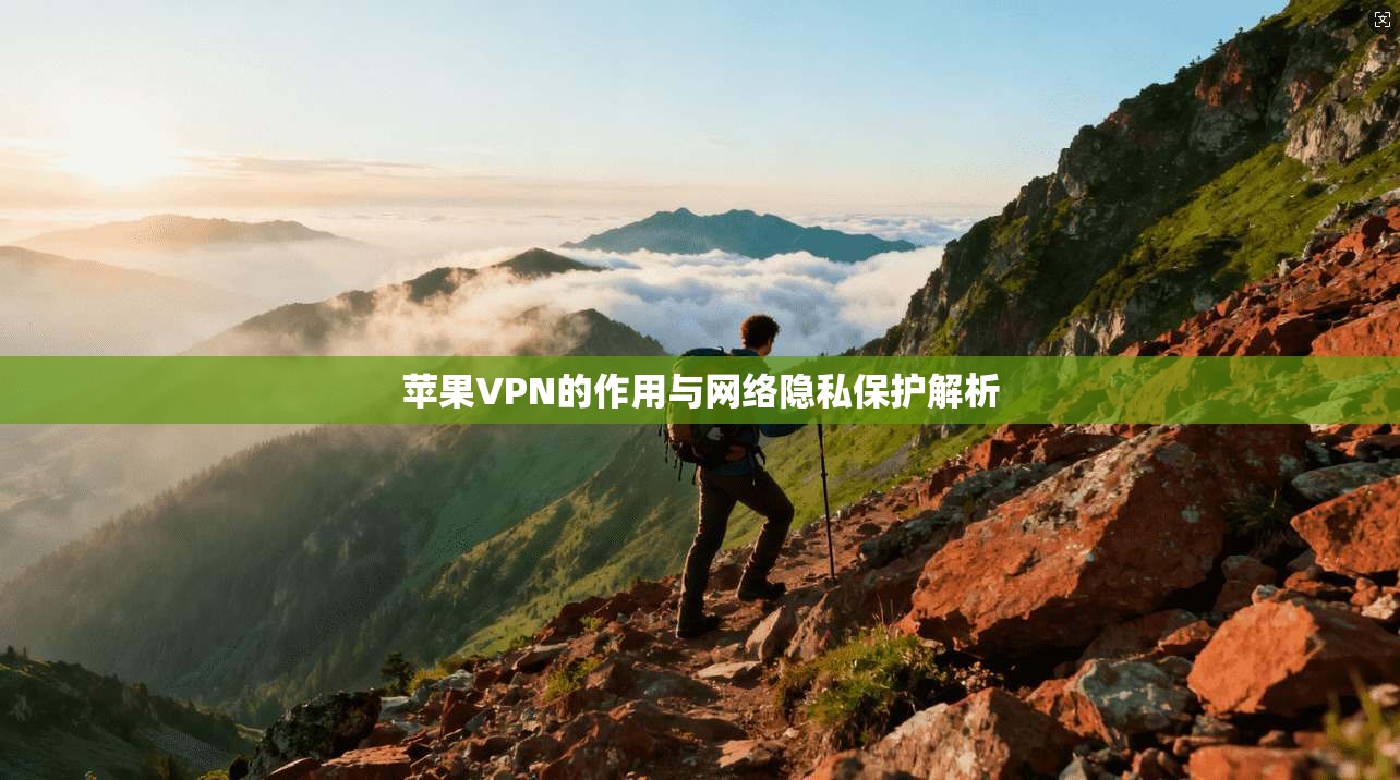 苹果VPN的作用与网络隐私保护解析