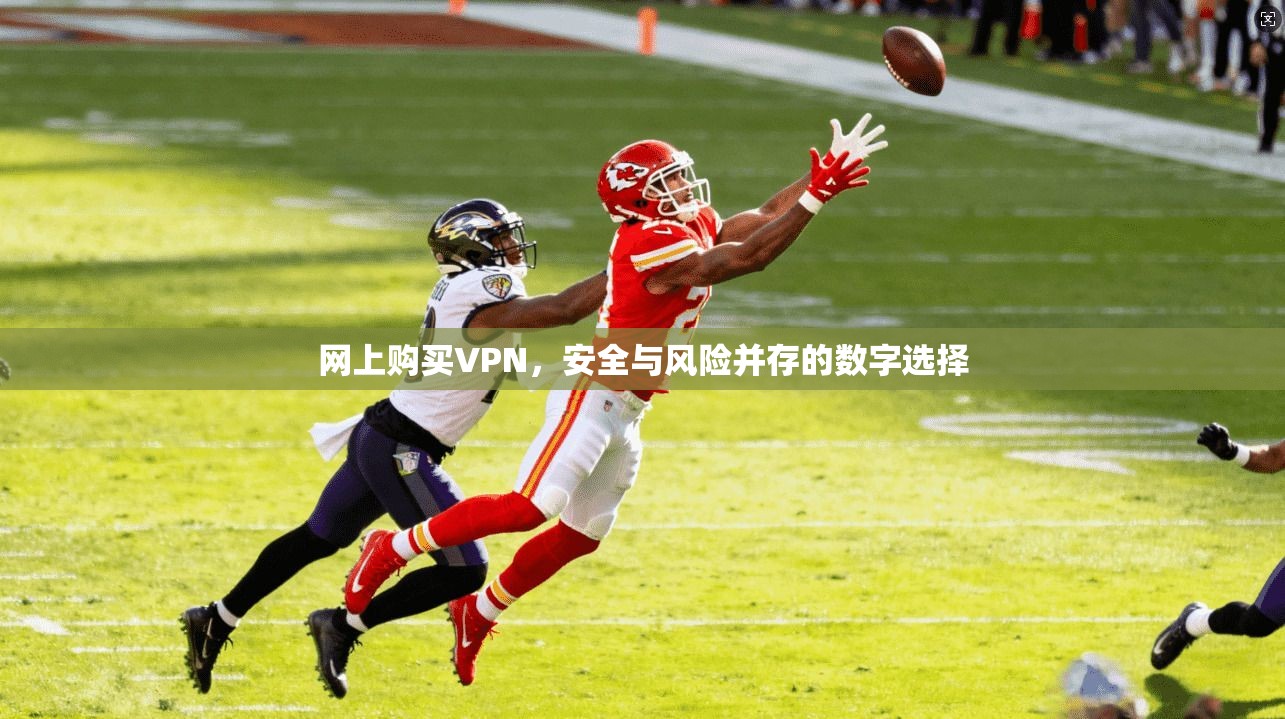 网上购买VPN，安全与风险并存的数字选择
