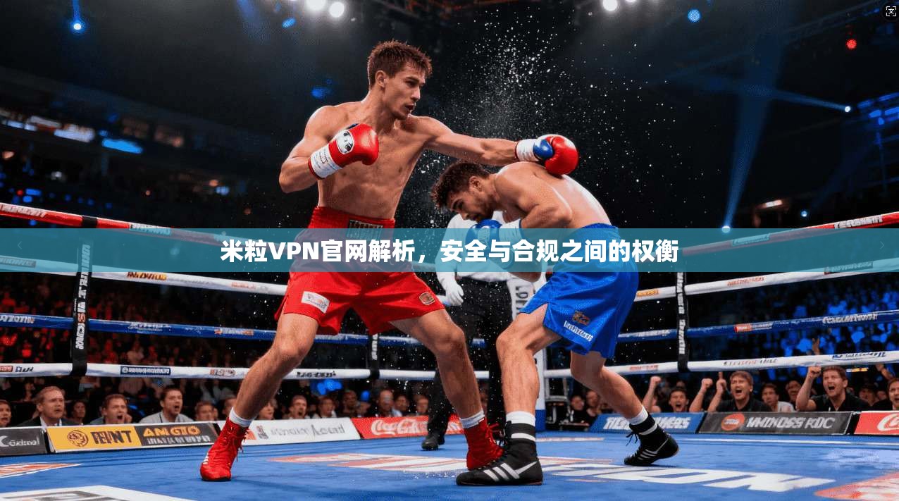 米粒VPN官网解析，安全与合规之间的权衡