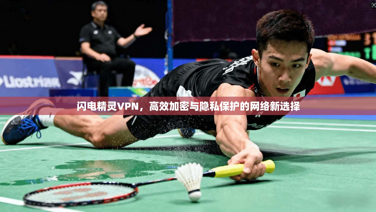 闪电精灵VPN，高效加密与隐私保护的网络新选择