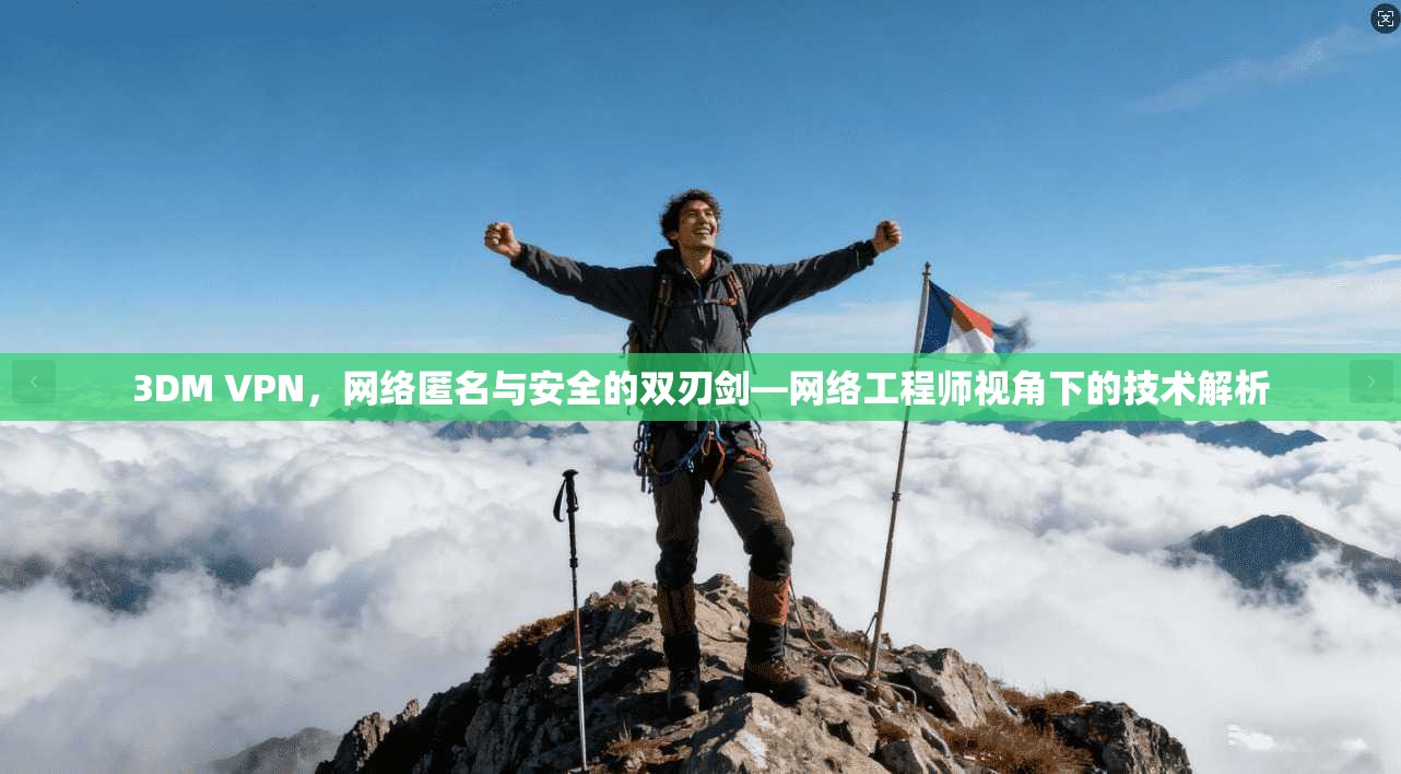 3DM VPN，网络匿名与安全的双刃剑—网络工程师视角下的技术解析