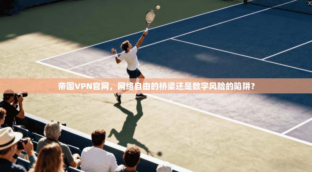 帝国VPN官网，网络自由的桥梁还是数字风险的陷阱？