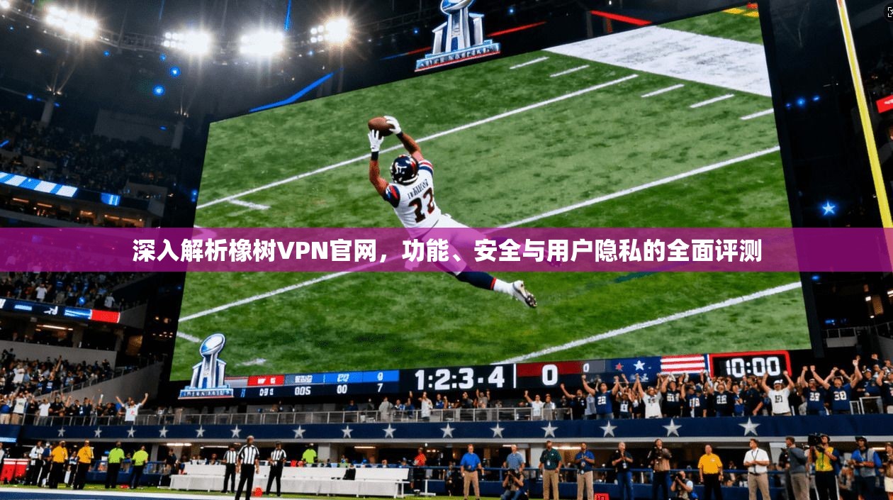 深入解析橡树VPN官网，功能、安全与用户隐私的全面评测