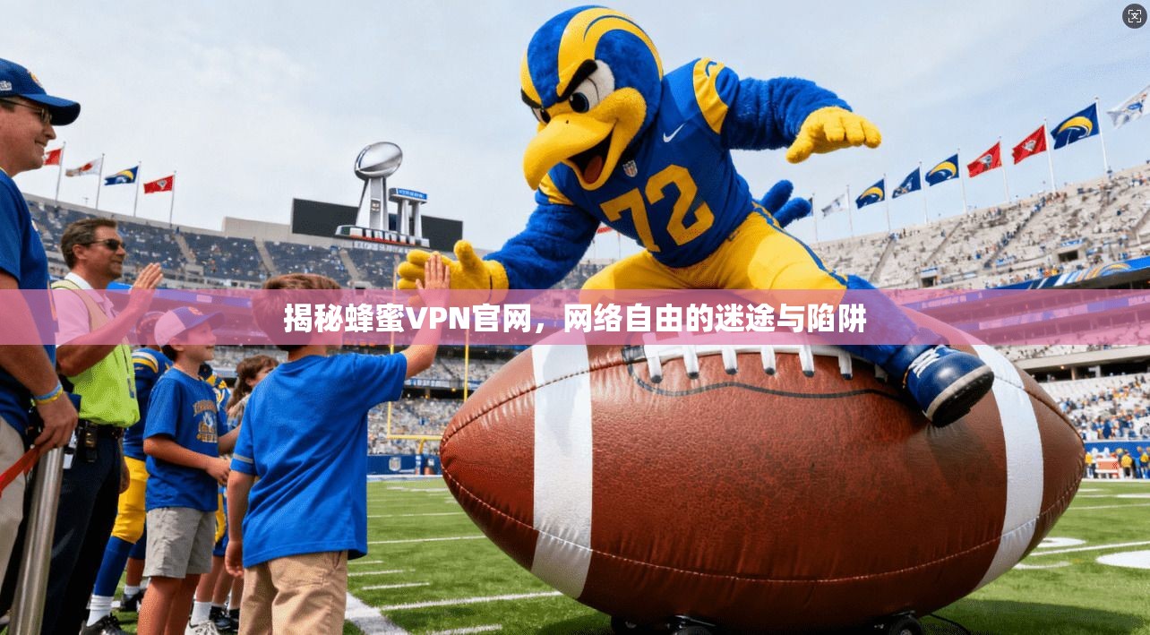 揭秘蜂蜜VPN官网，网络自由的迷途与陷阱
