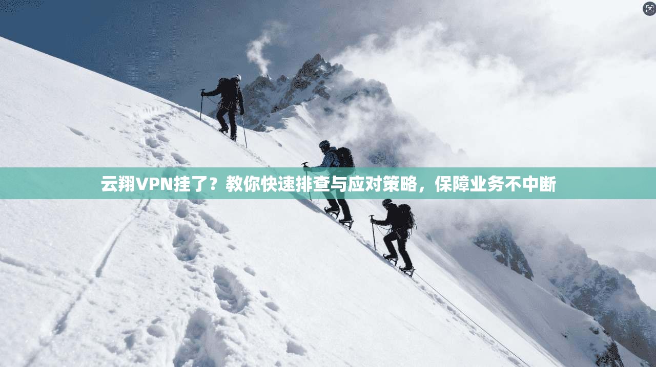 云翔VPN挂了？教你快速排查与应对策略，保障业务不中断