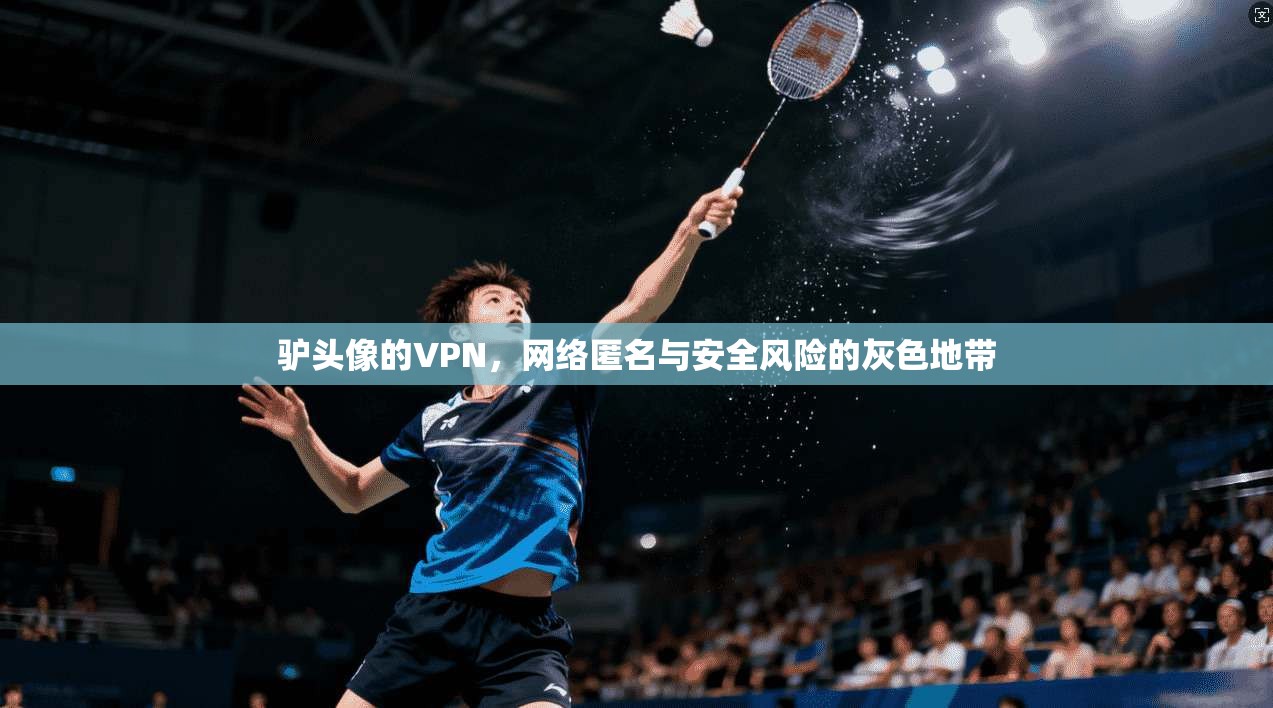 驴头像的VPN，网络匿名与安全风险的灰色地带