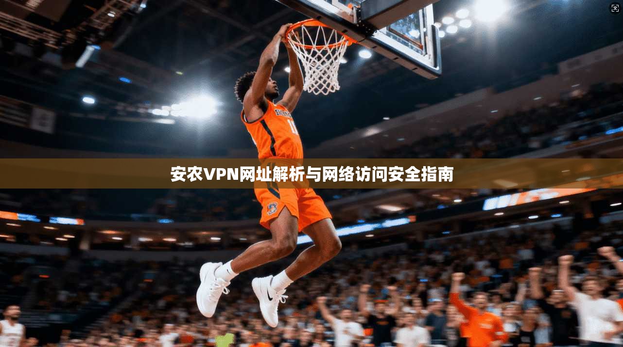 安农VPN网址解析与网络访问安全指南