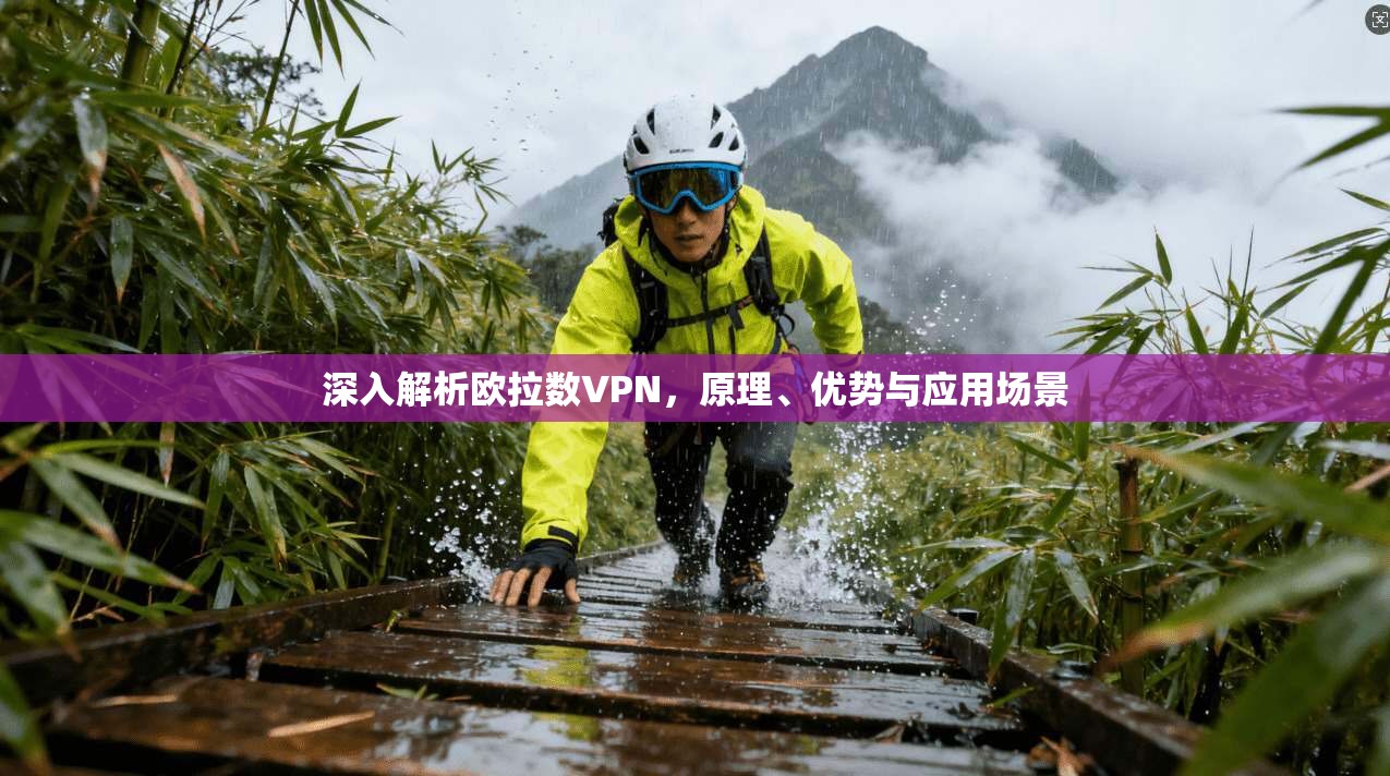 深入解析欧拉数VPN，原理、优势与应用场景