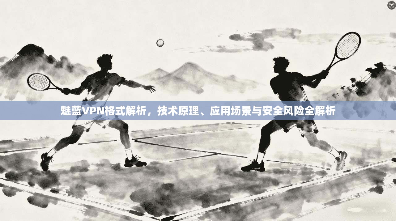 魅蓝VPN格式解析，技术原理、应用场景与安全风险全解析
