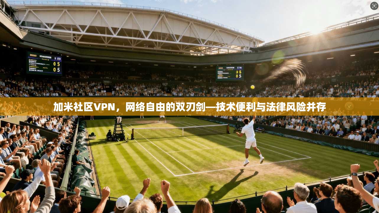 加米社区VPN，网络自由的双刃剑—技术便利与法律风险并存