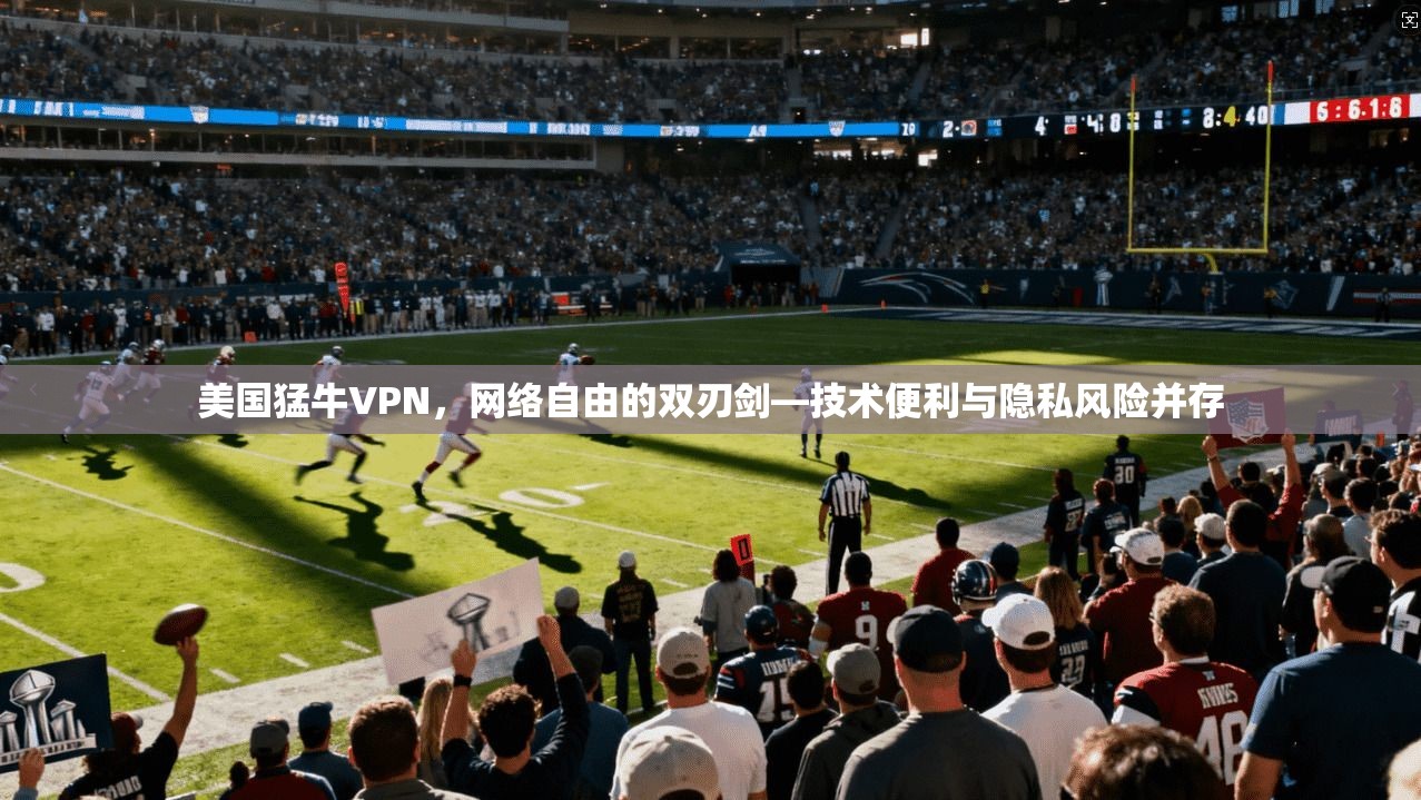 美国猛牛VPN，网络自由的双刃剑—技术便利与隐私风险并存