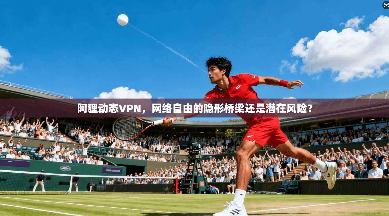阿狸动态VPN，网络自由的隐形桥梁还是潜在风险？