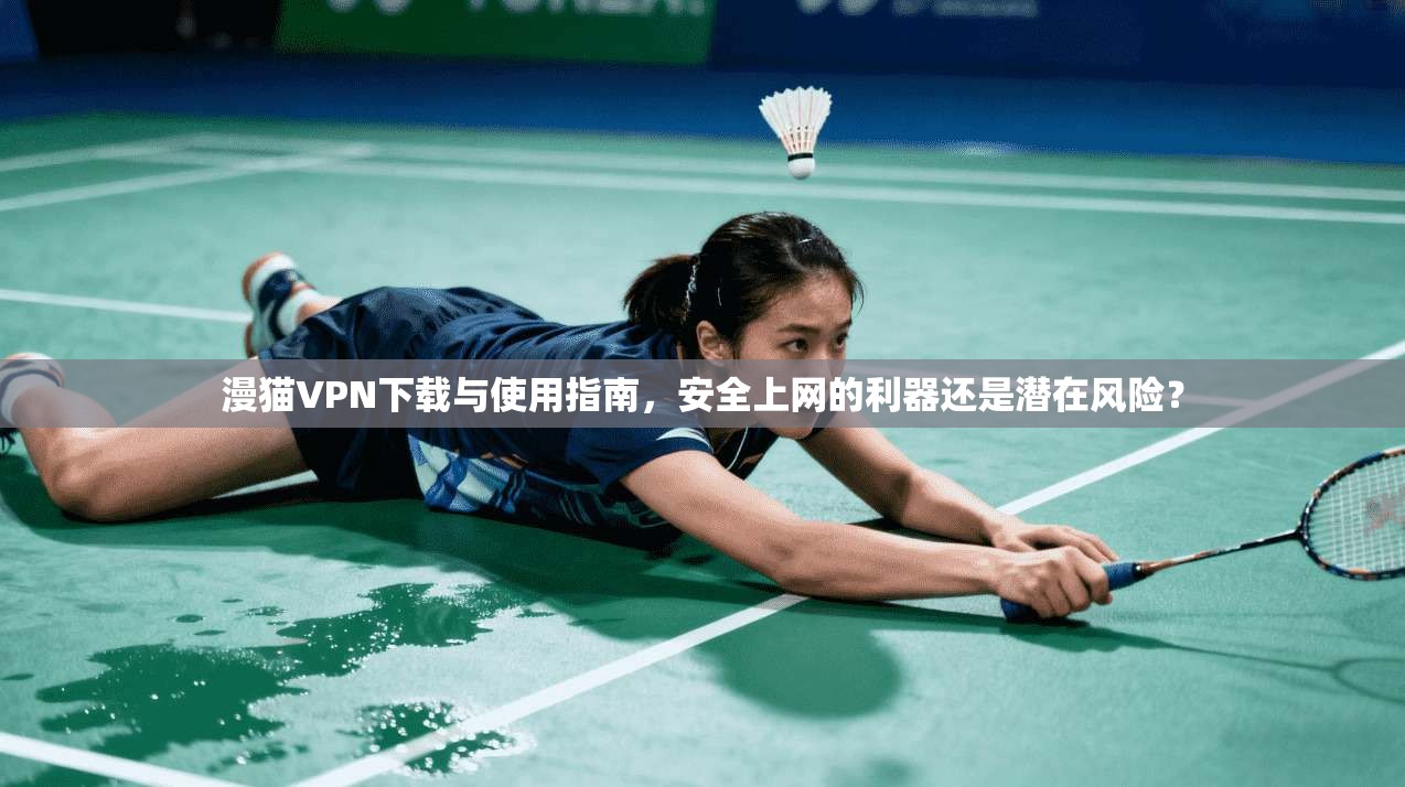 漫猫VPN下载与使用指南，安全上网的利器还是潜在风险？