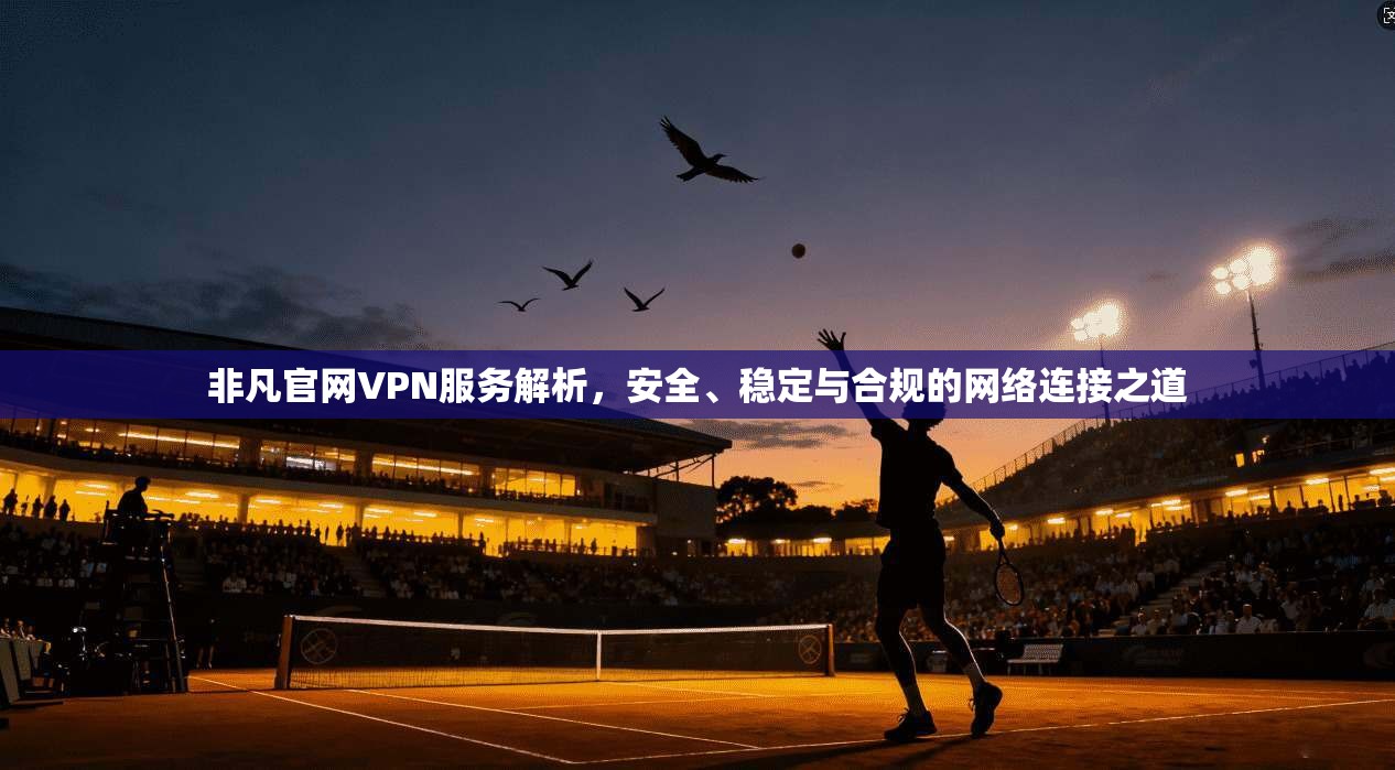 非凡官网VPN服务解析，安全、稳定与合规的网络连接之道