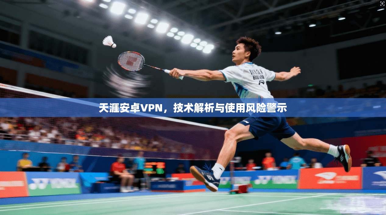天涯安卓VPN，技术解析与使用风险警示
