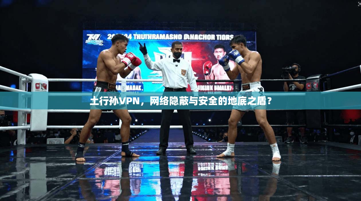 土行孙VPN，网络隐蔽与安全的地底之盾？