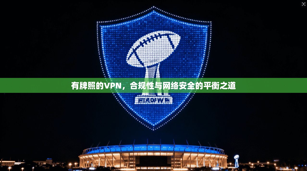 有牌照的VPN，合规性与网络安全的平衡之道