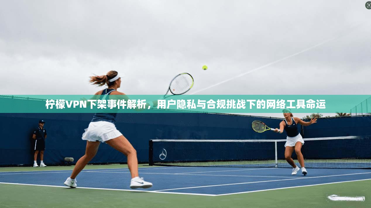 柠檬VPN下架事件解析，用户隐私与合规挑战下的网络工具命运